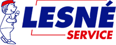 LESNE SERVICE - logo